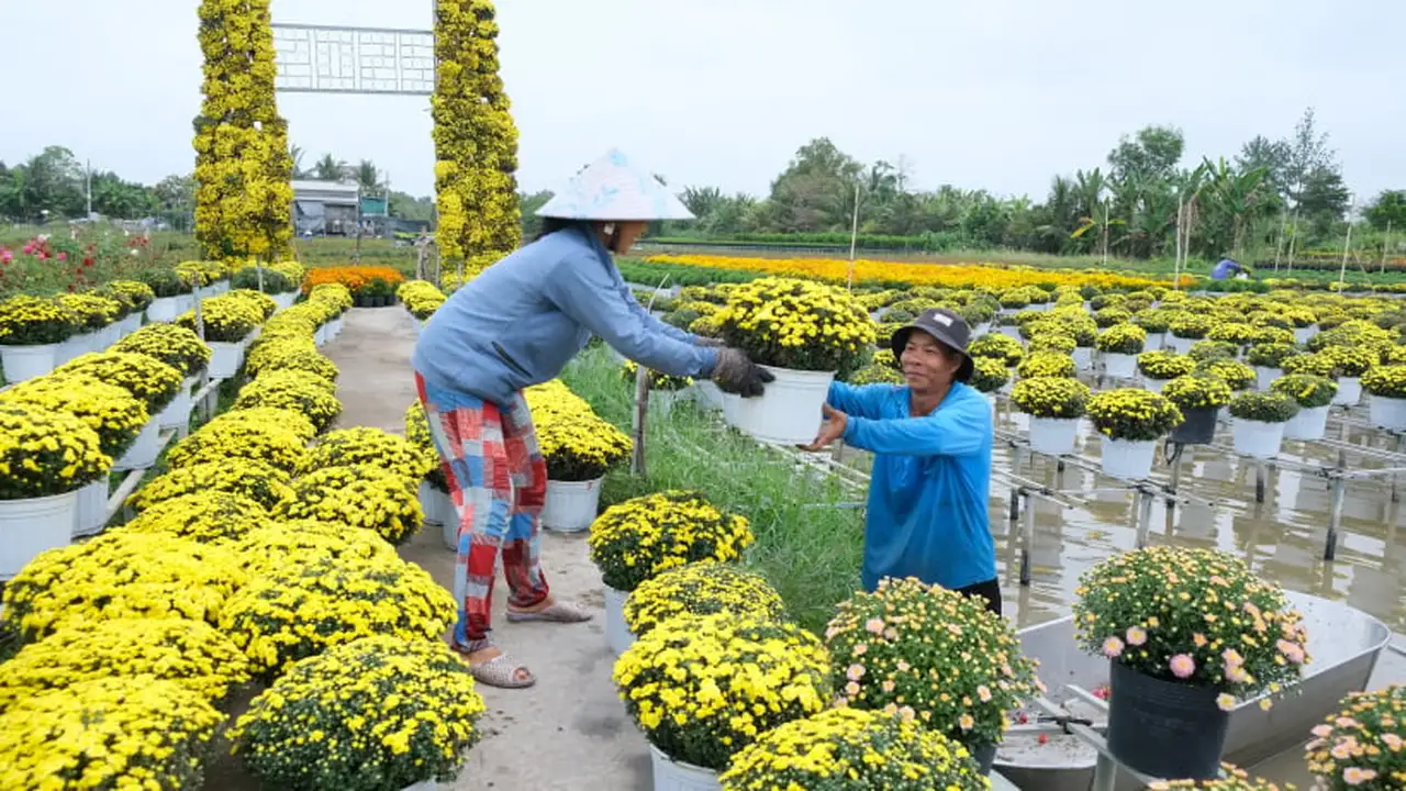 طقس متقلب.. درجات الحرارة ترتفع في كافة المحافظات قبل قدوم موجة برد جديدة